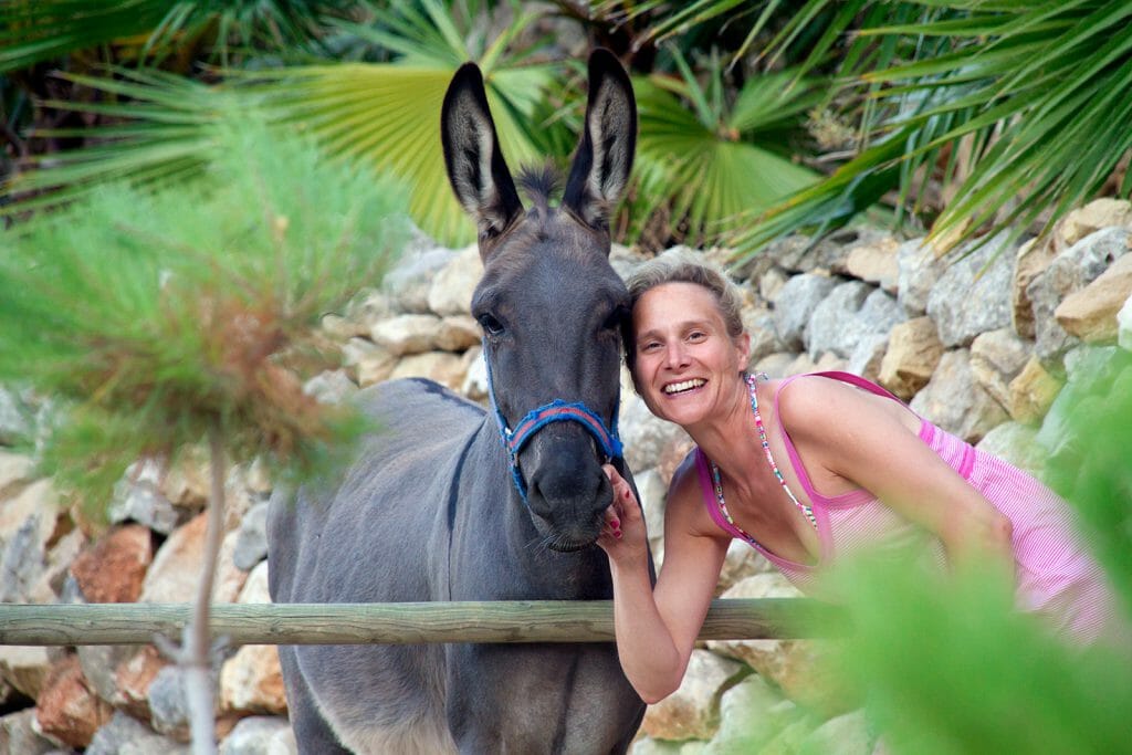 Donkey at Caserio Del Mirador