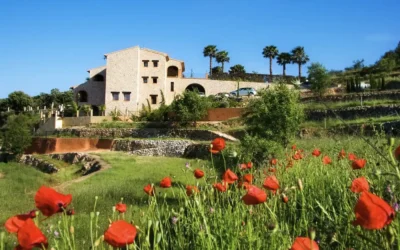 So where, when, and how to go on Holiday