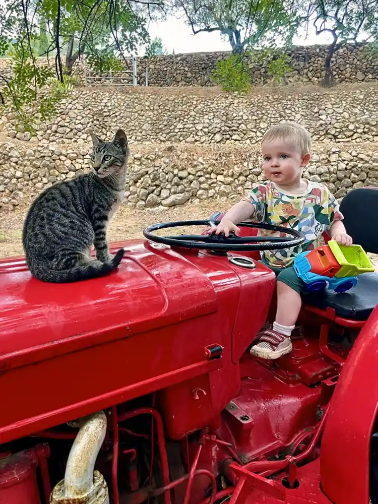 Our baby friendly hotel has a red tractor and plenty of gentle animals to make friends with