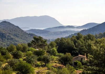 View from the terrace of Olivera and Taronger Suites