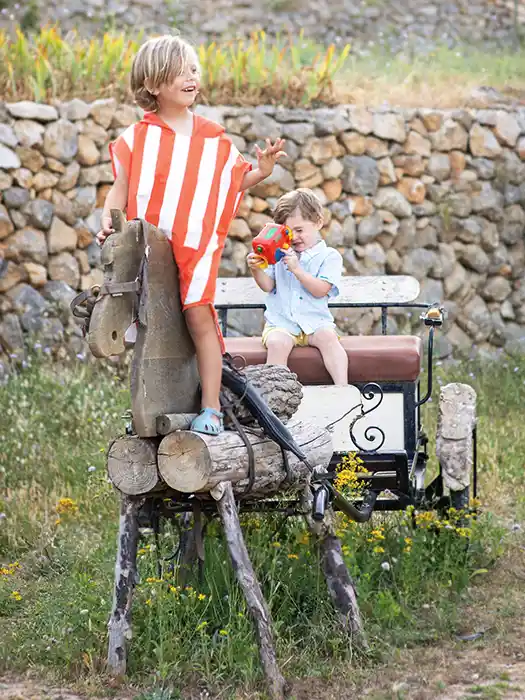 our wooden horse and carriage in our hotel children's playground